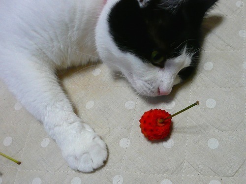 P1050100.jpg