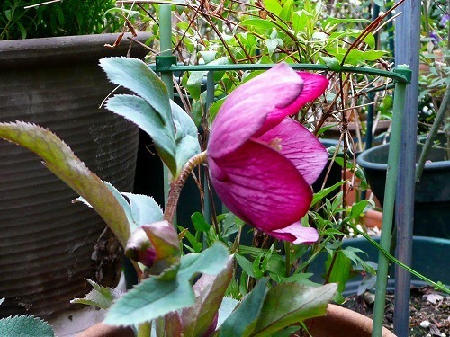 P1050548.jpg