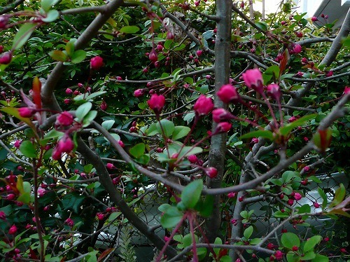P1050587.jpg