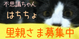 img47bfc94bzik9zj.png