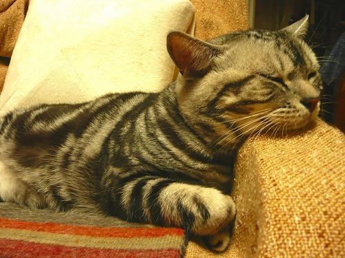 20110528.jpg