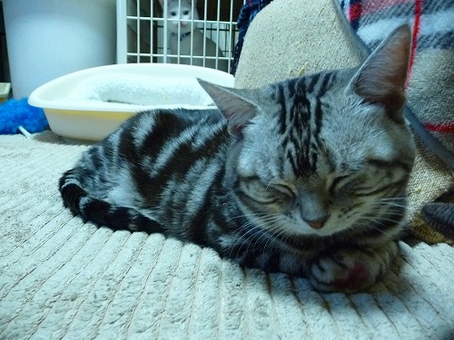 20140206.jpg