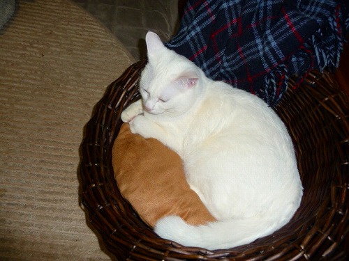20140214.jpg
