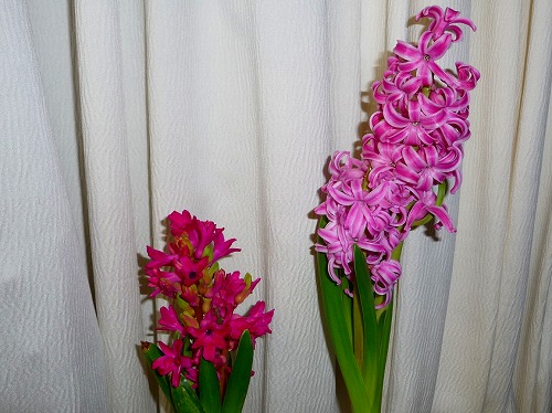 20140218.jpg