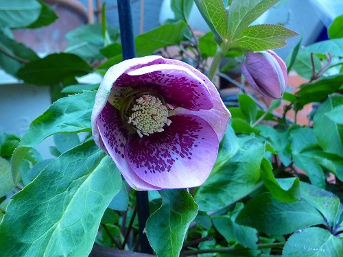 201402192.jpg