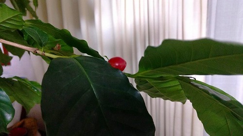 IMG_20191107_201023998.jpg