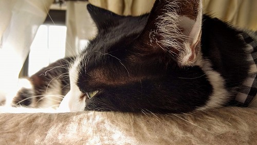 IMG_20200208_120625561_HDR.jpg