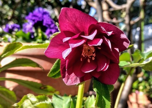 IMG_20200224_101657721_HDR.jpg