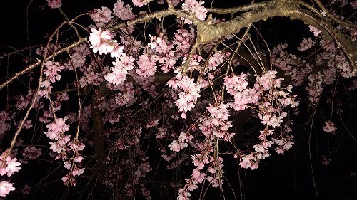 IMG_20200318_184413680.jpg