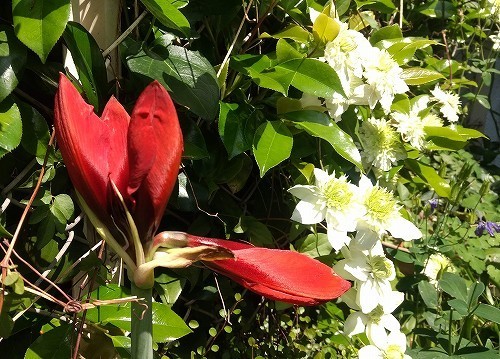 IMG_20200524_093915990_HDR.jpg