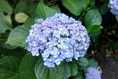 IMG_20200608_175050227_HDR.jpg