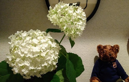 IMG_20200619_203828720.jpg