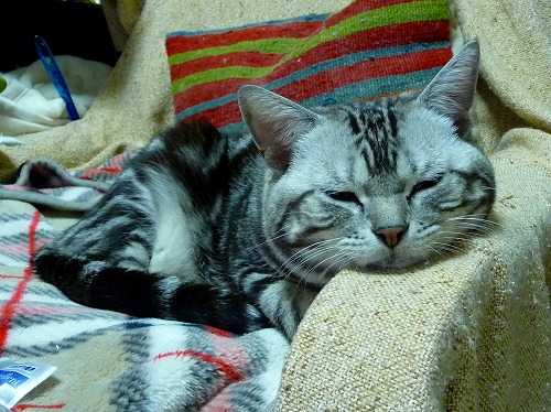 P10300351.jpg
