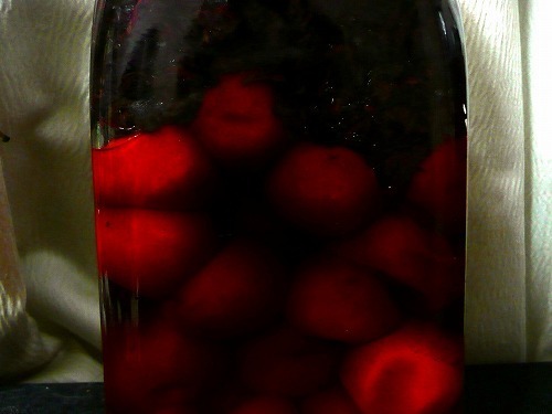 P1050045.jpg