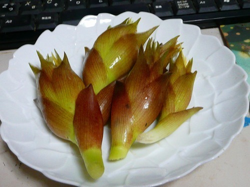 P1050047.jpg