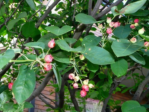 P1050696.jpg