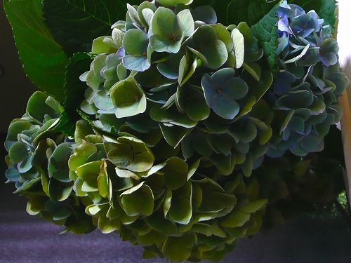 P1050819.jpg
