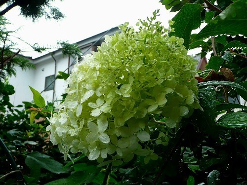 P10508342.jpg