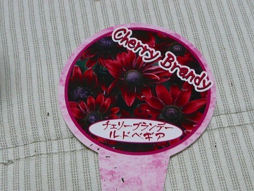 P1050871.jpg