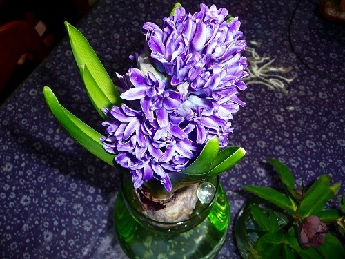 P1060401.jpg