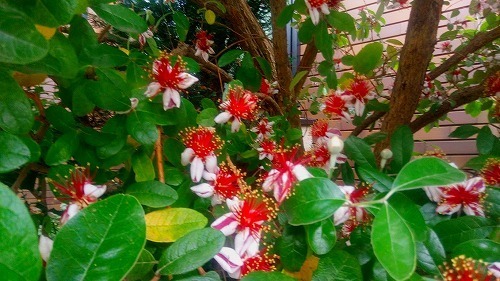P_20170607_114745.jpg