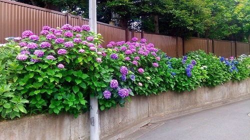 P_20180605_164039.jpg