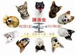 mignon譲渡会ポスター