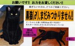 scan029.jpg